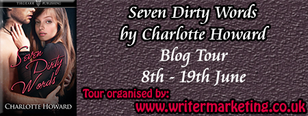 tourbutton_sevendirtywords