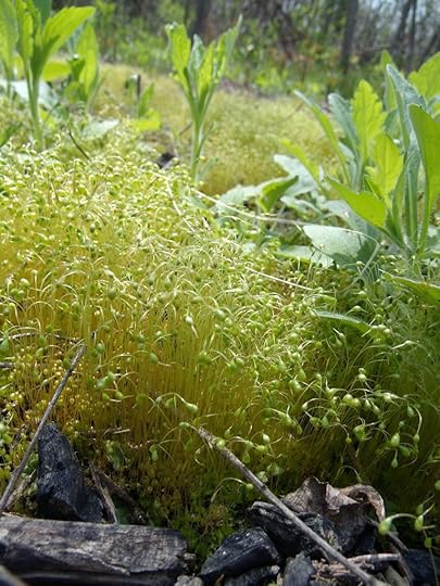  photo GEDC1690r_zpsrnbsgils.jpg