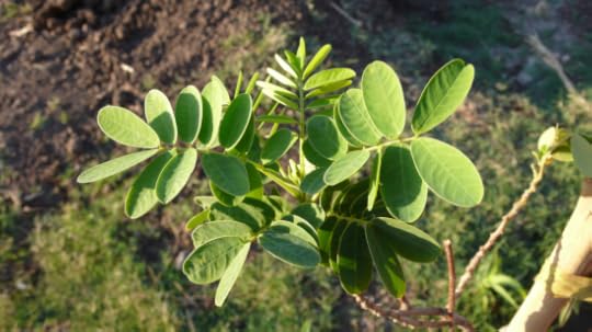 Screen Shot 2015-06-07 at 10.59.29 PM