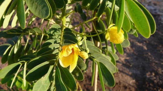 Screen Shot 2015-06-07 at 11.00.41 PM