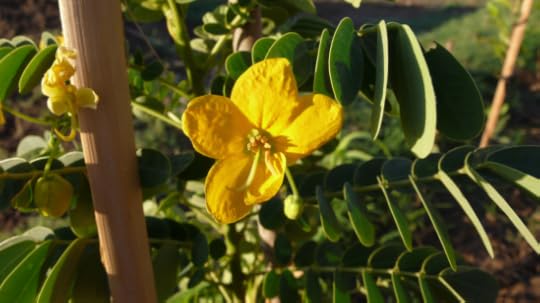 Screen Shot 2015-06-07 at 10.59.38 PM