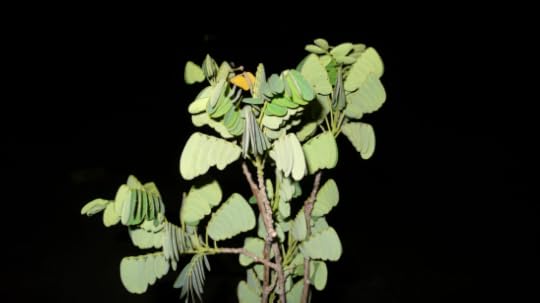 Screen Shot 2015-06-07 at 11.00.07 PM