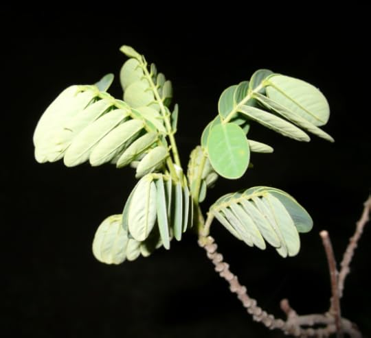 Screen Shot 2015-06-07 at 11.00.30 PM