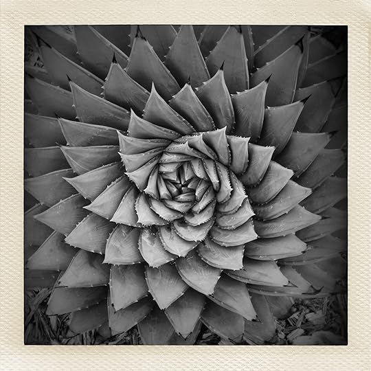 Spiral © Harold Davis