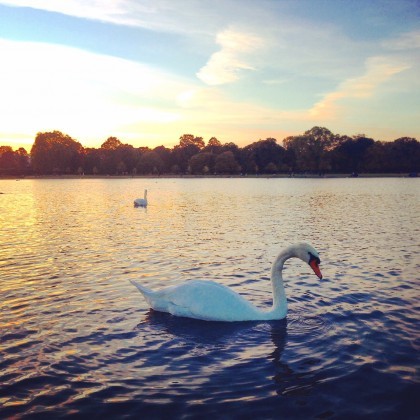 Hyde Park!