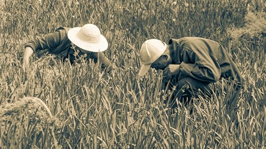 Hard at work in the midday sun – 1/800, f2.5, ISO 100