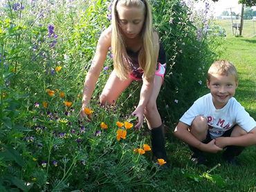 Emma and Owen in the flowers with poppies