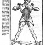 L0013262 Muscles - Berengarius 1521 Credit: Wellcome Library, London. Wellcome Images images@wellcome.ac.uk http://wellcomeimages.org Muscles Woodcut 1521 Commentaria cum Amplissimis Additionibus Super Anatomia Mundini una cum textu ejusdem in pristinum et Verum Nitorem Redacto Jacobus Berengarius Carpensis Published: 1521 Copyrighted work available under Creative Commons Attribution only licence CC BY 4.0 http://creativecommons.org/licenses/by/4.0/