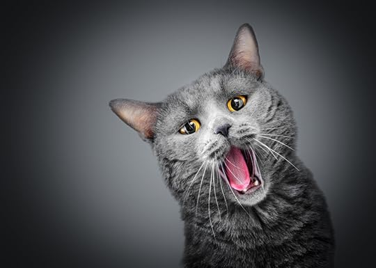 British singing cat on a dark background