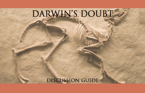 DD-Discussion-Guide-v4.jpg