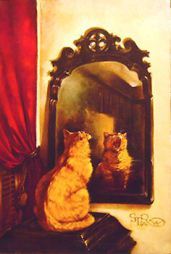 cat in mirror