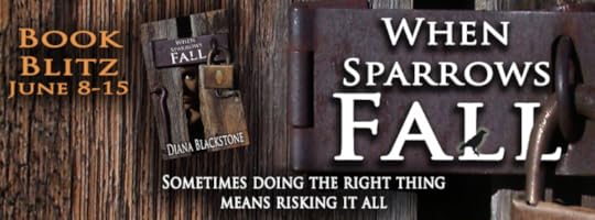 WSFblitzbanner