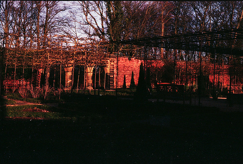 Walled Garden