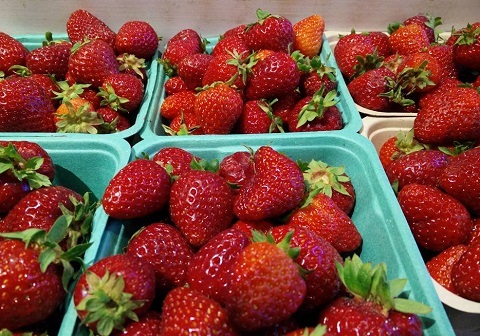 Photo: How to wash fruits and vegetables
