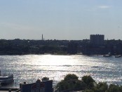 IMG_4355