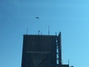 IMG_4738