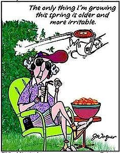 1466654abdc4e6b382e251d1b7783232