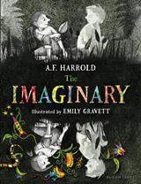 Imaginary