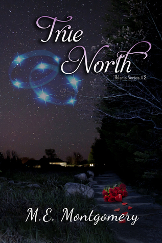 true north
