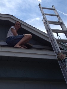 painting the house