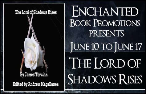 lordofshadowsbanner
