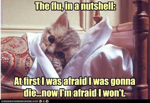 flu