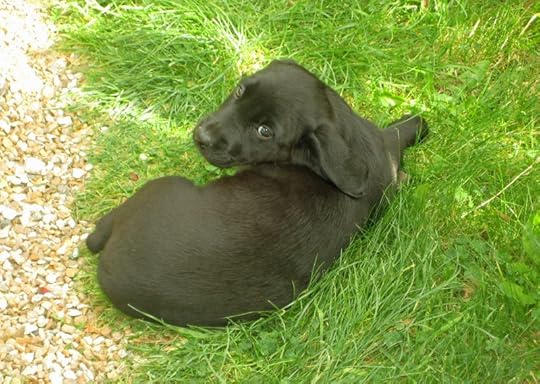 Young Tilly