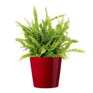 384aa41d-35c3-4134-bcf7-6ff02a8e31b9_400