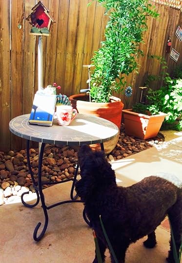  photo 34ea3acd-40a4-41e7-8e5f-a1f4a512068b_zps4whptogb.jpg