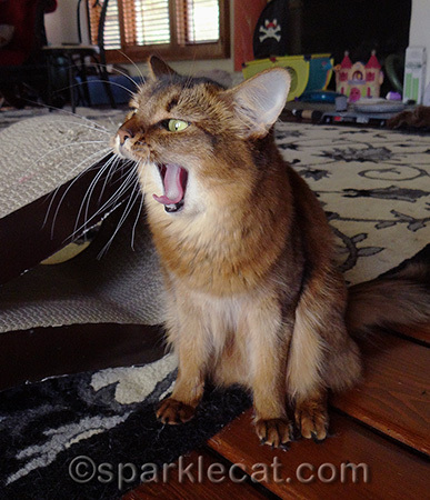 They call this Lion Pose in yoga