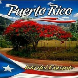 10362350_368295243378676_413595960_n