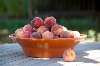  photo image.jpg1_zpsodkkyyq0.jpg