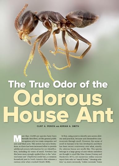 odorous house ant
