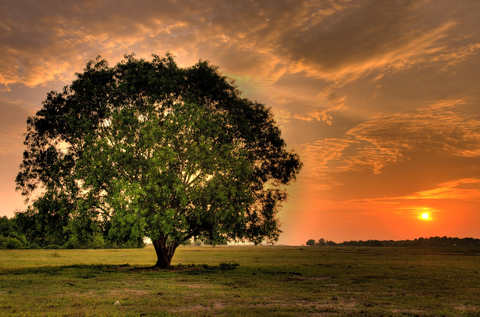 Photo: The values of hope and happiness