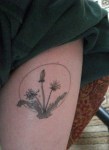 Freebie2011