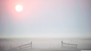 images (1)