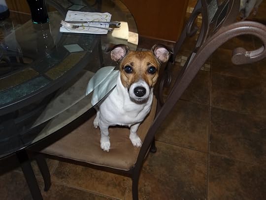 Disney likes to sit at the kitchen table...
