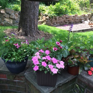 Backyard flowerpots