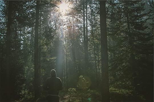 Brands and consumers