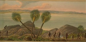 Panoramic_view_of_King_Georges_Sound_(5)