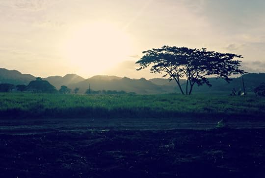 photo 101 day 4 solitude and rule of thirds 007 tu