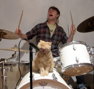 funny-cat-singing-microphone-drums