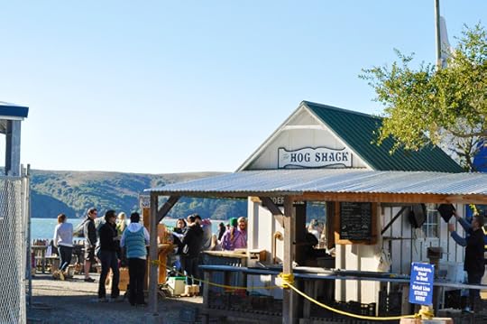 hog-shack_620px
