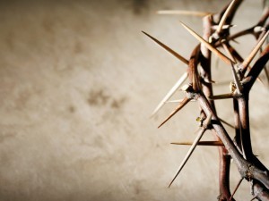 crown of thorns
