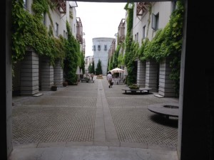 IMG_6389