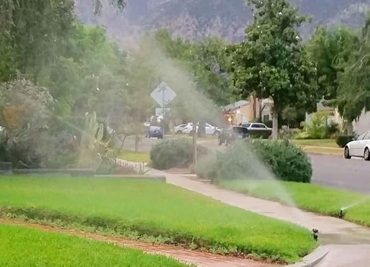 Lawn watering