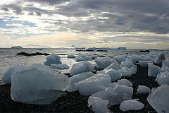 antartic-the-mighty-jimbo