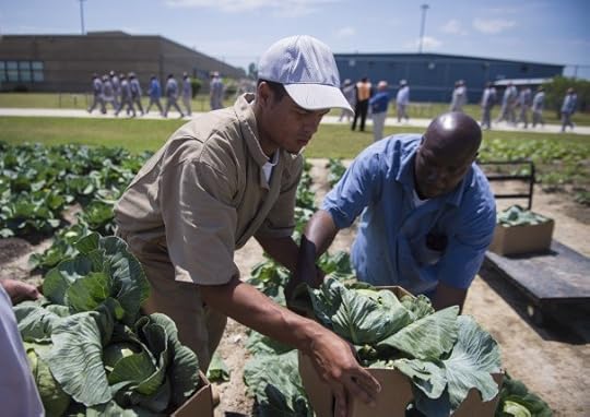 Botsford_PrisonGarden_15_05_27_26821433282114
