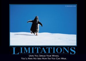 limitationsdemotivator