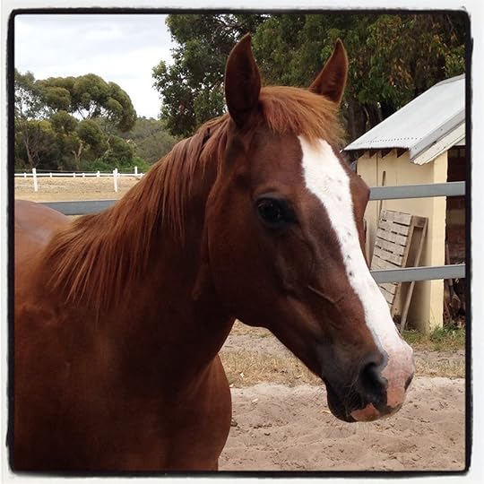 11225517_931779896861754_1544077228_n